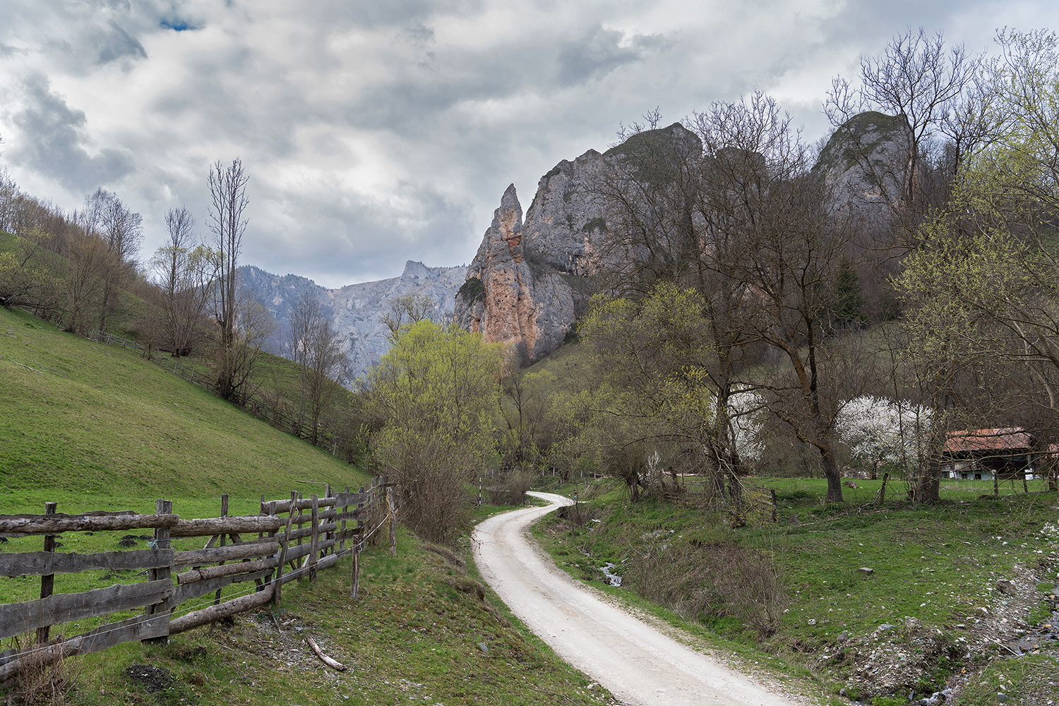 Scărița-Belioara