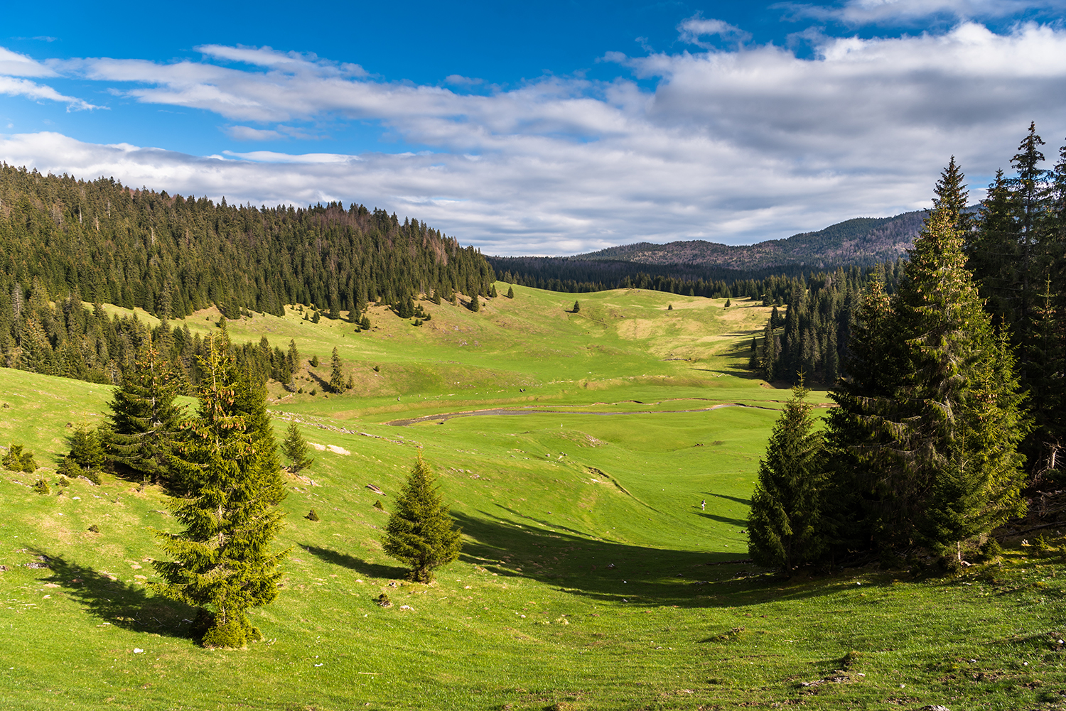 Munții Bihor