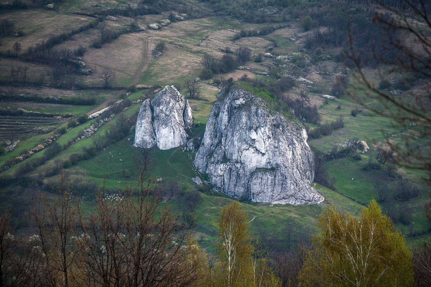 Munții Trascăului