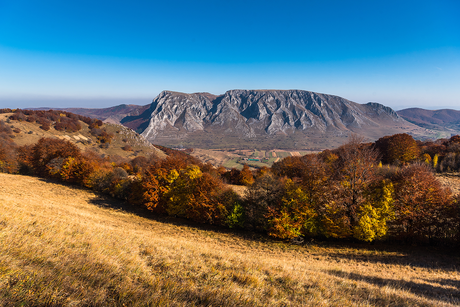 Munții Trascăului