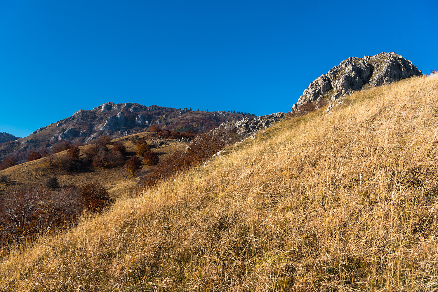 Munții Trascăului