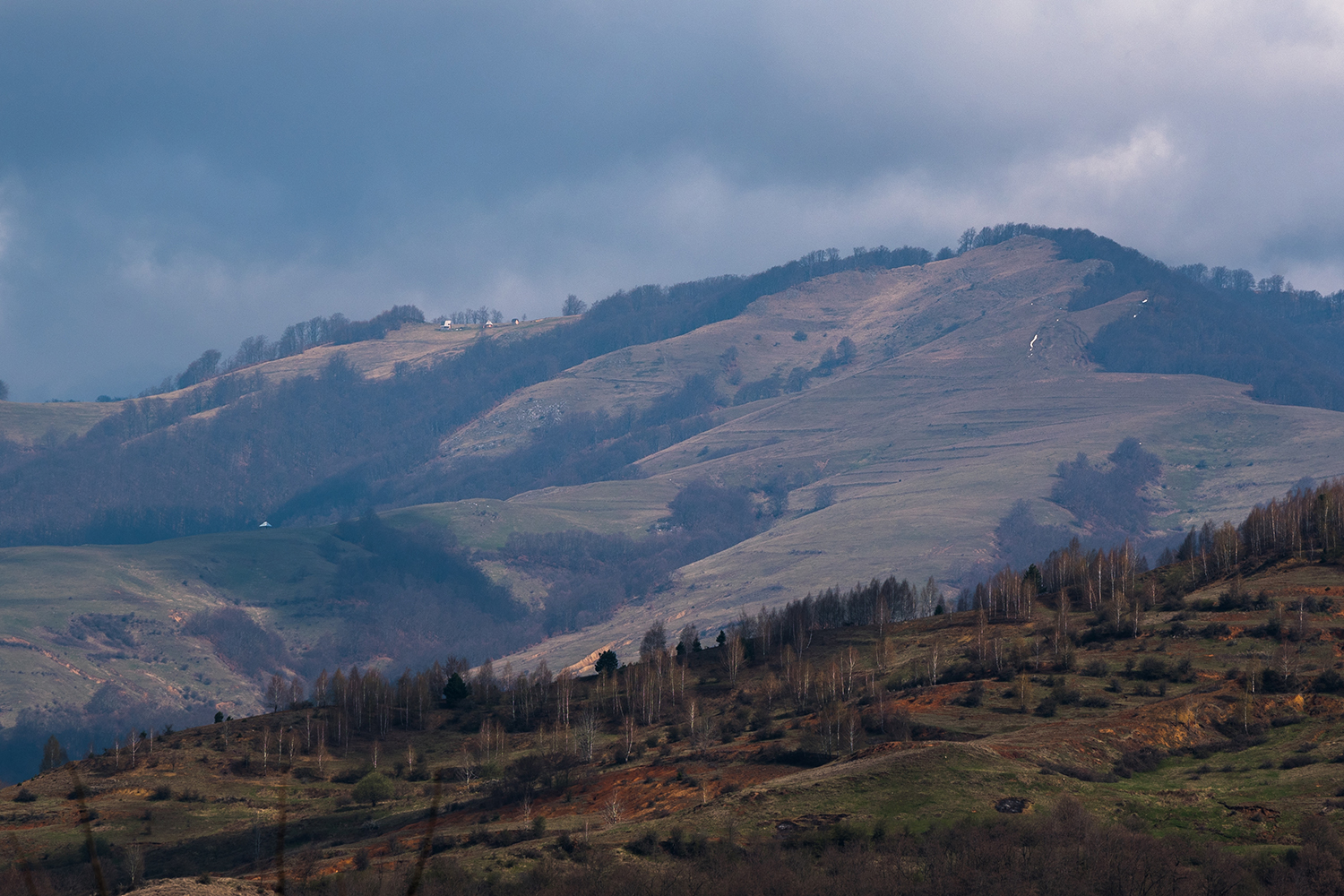 Munții Trascăului