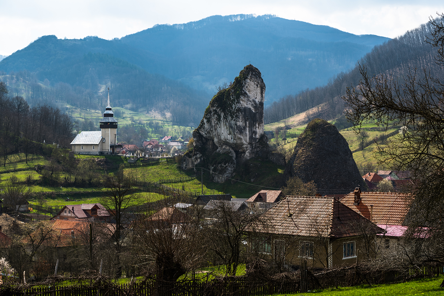 Munții Trascăului