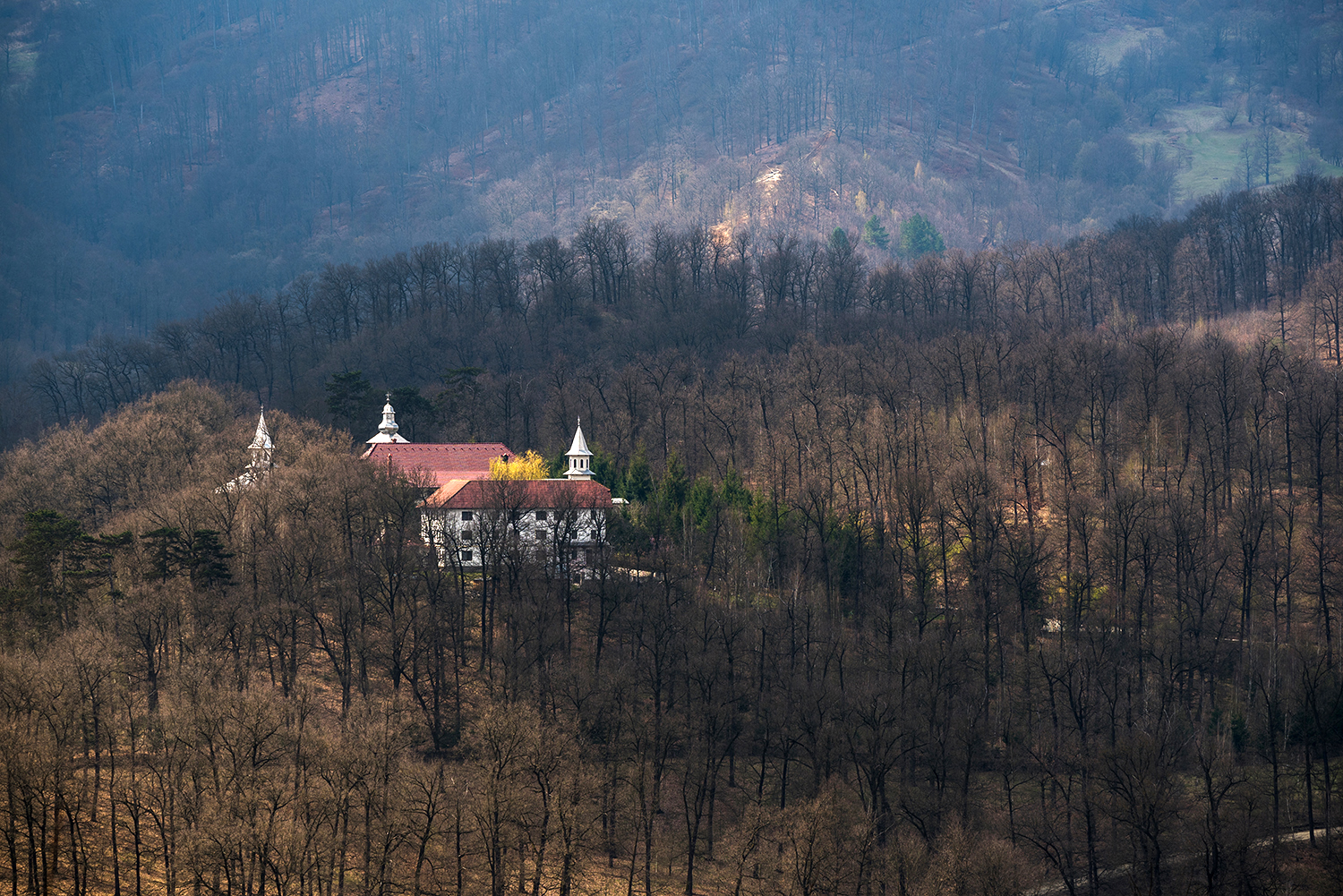 Munții Trascăului