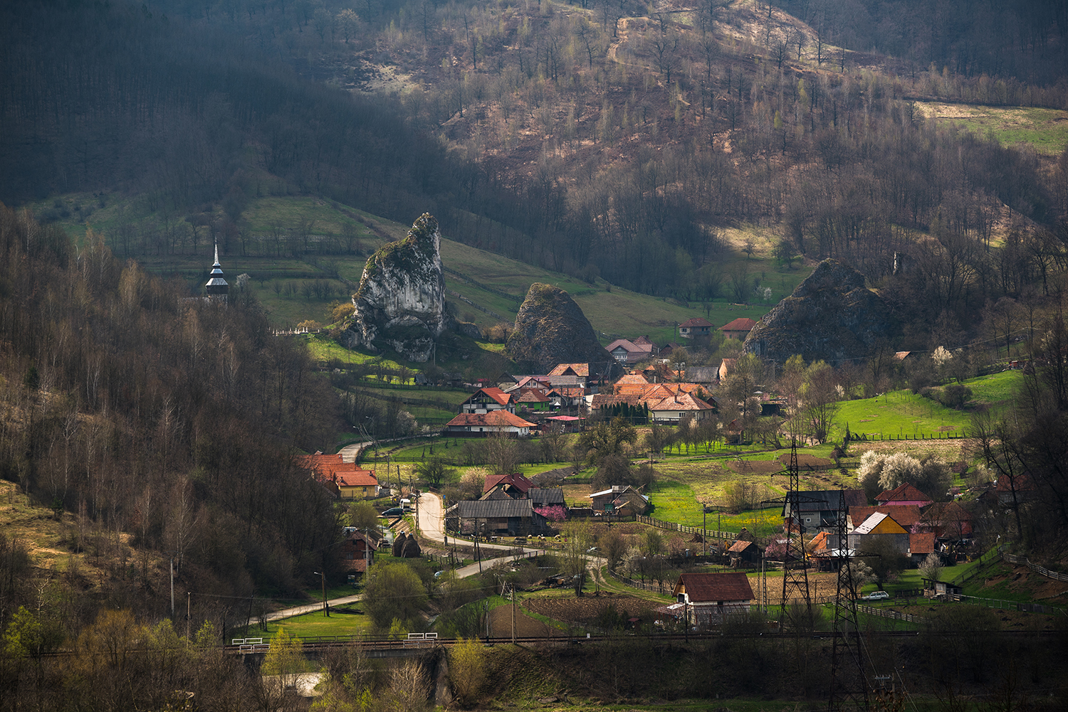 Munții Trascăului