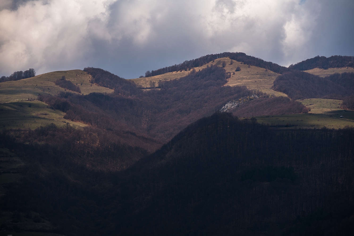 Munții Trascăului