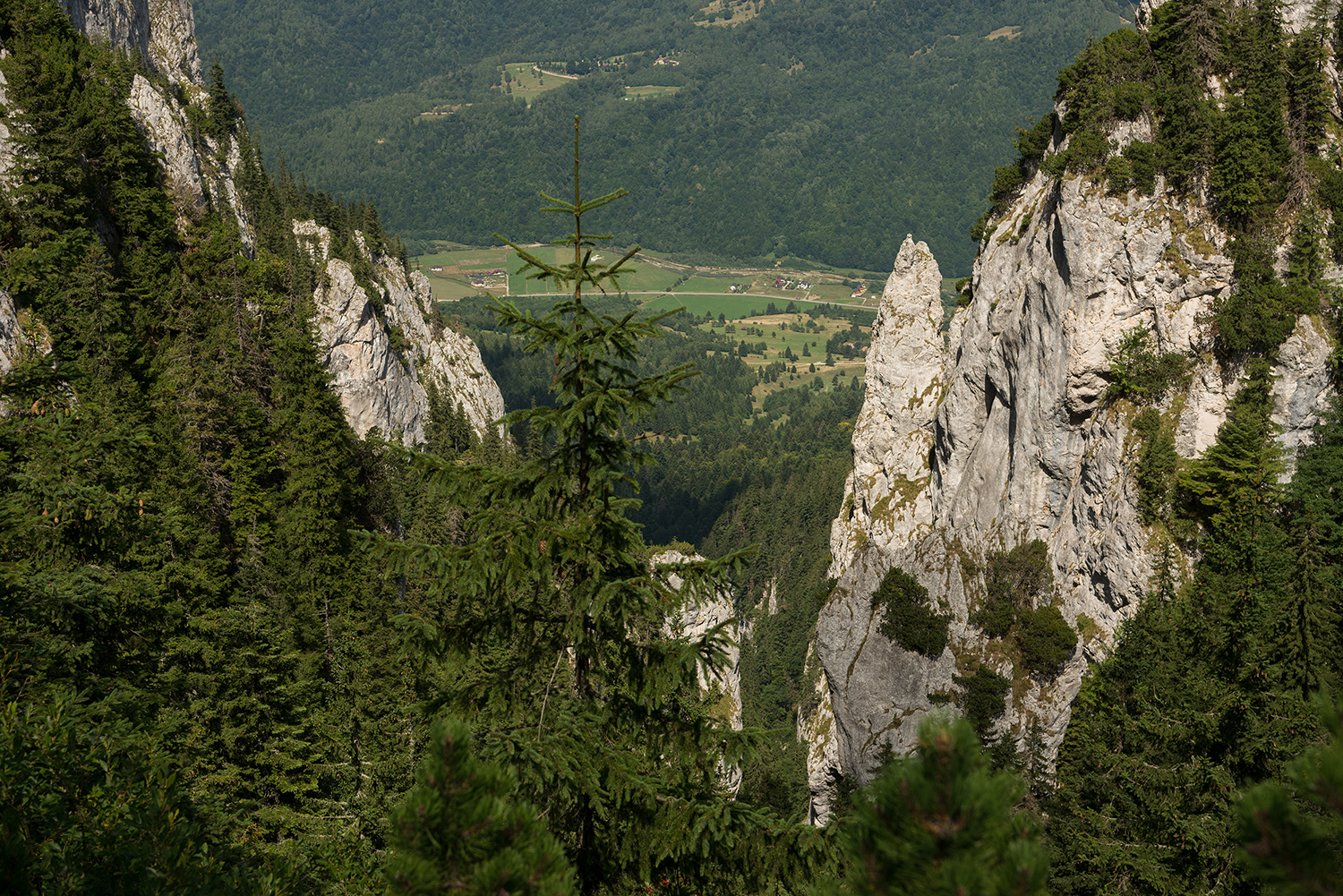  Piatra Craiului