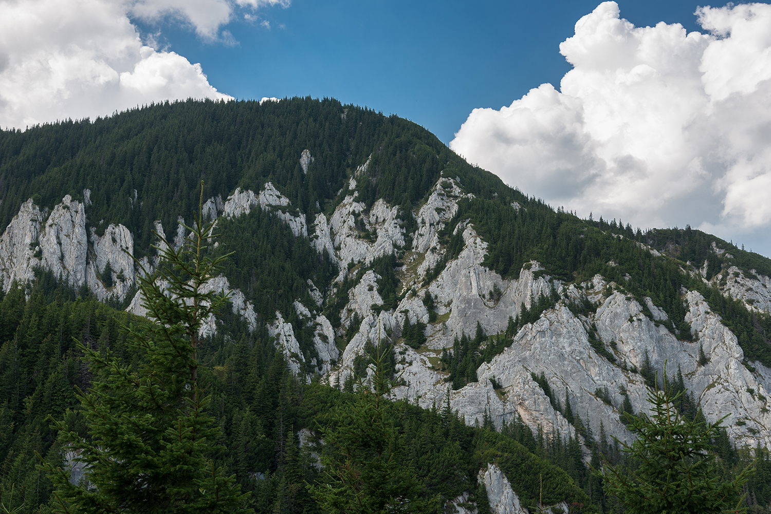  Piatra Craiului