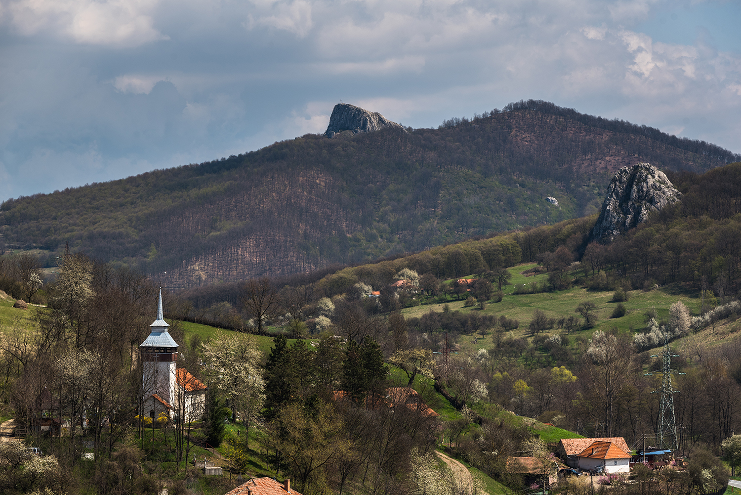 Munții Trascăului