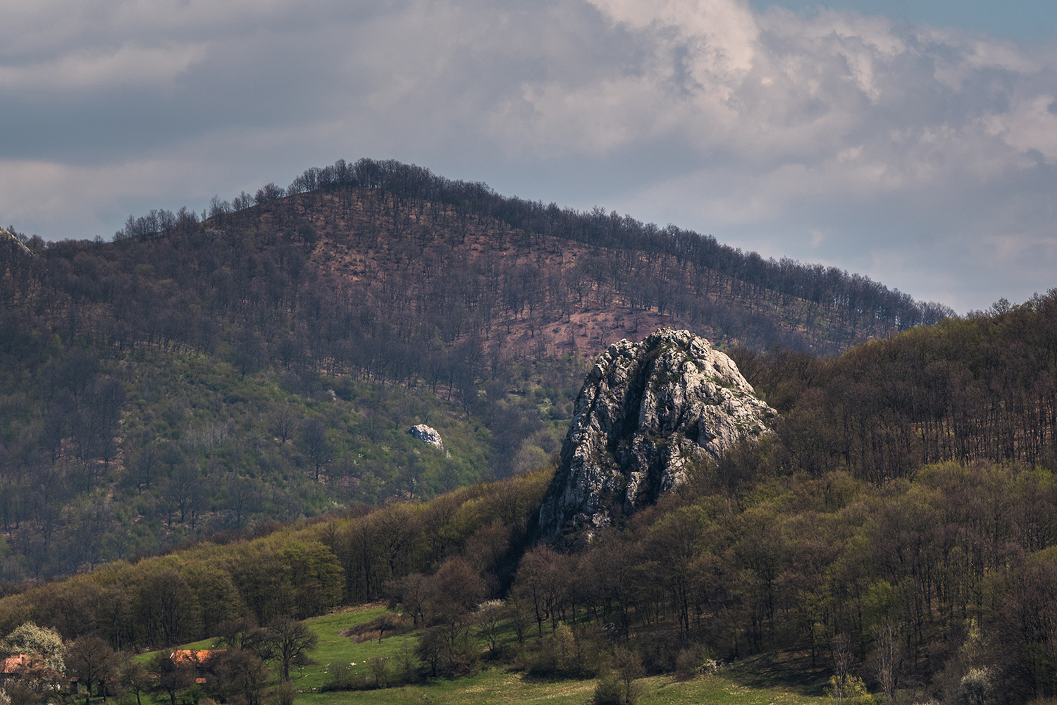 Munții Trascăului