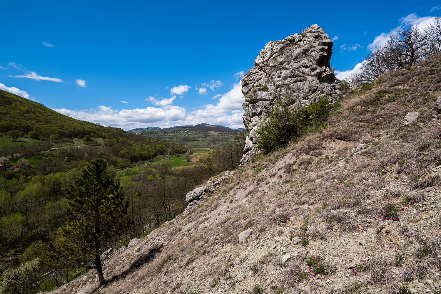 Munții Trascăului