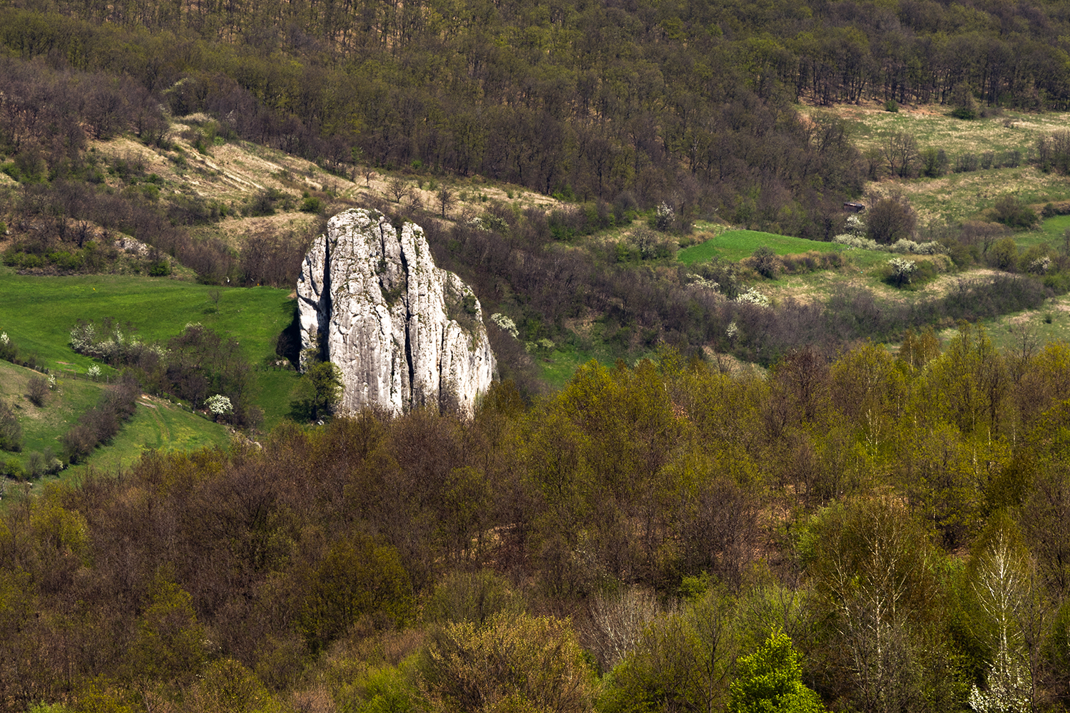 Munții Trascăului