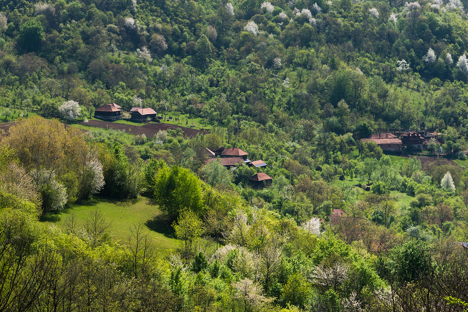  Munții Șureanu