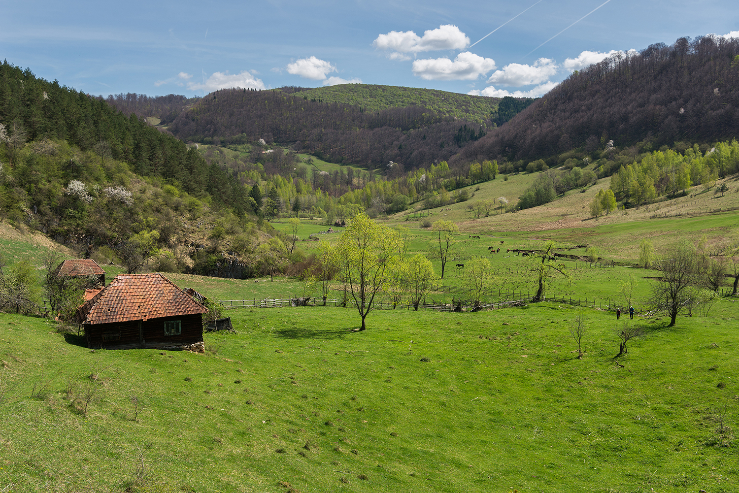  Munții Șureanu