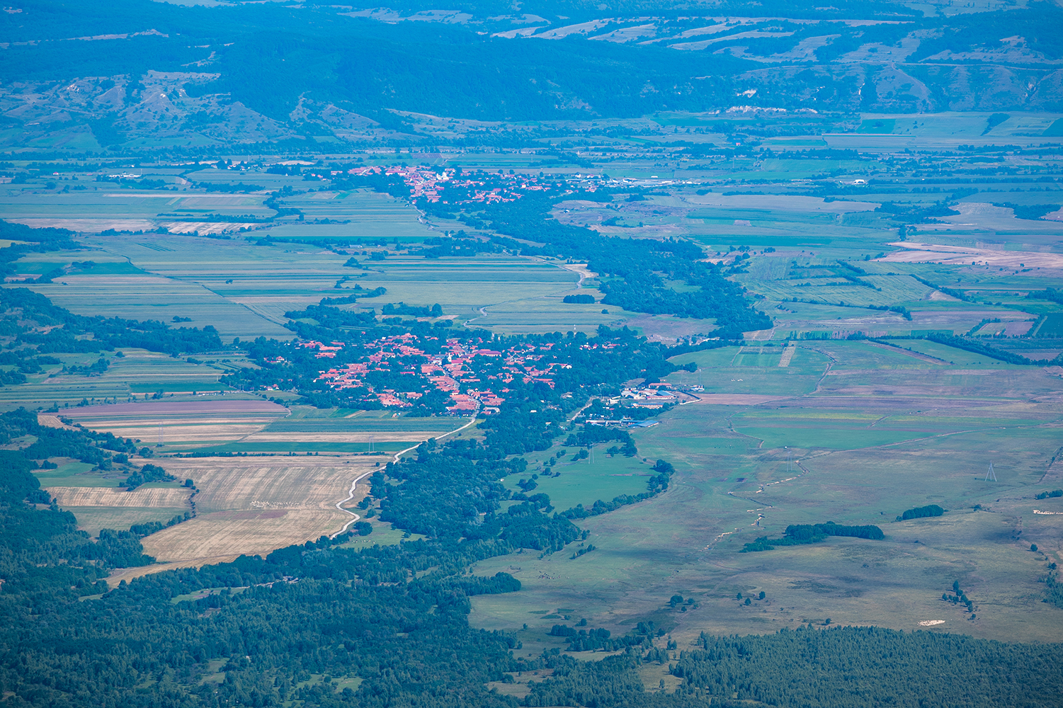 Muchia Drăgușului