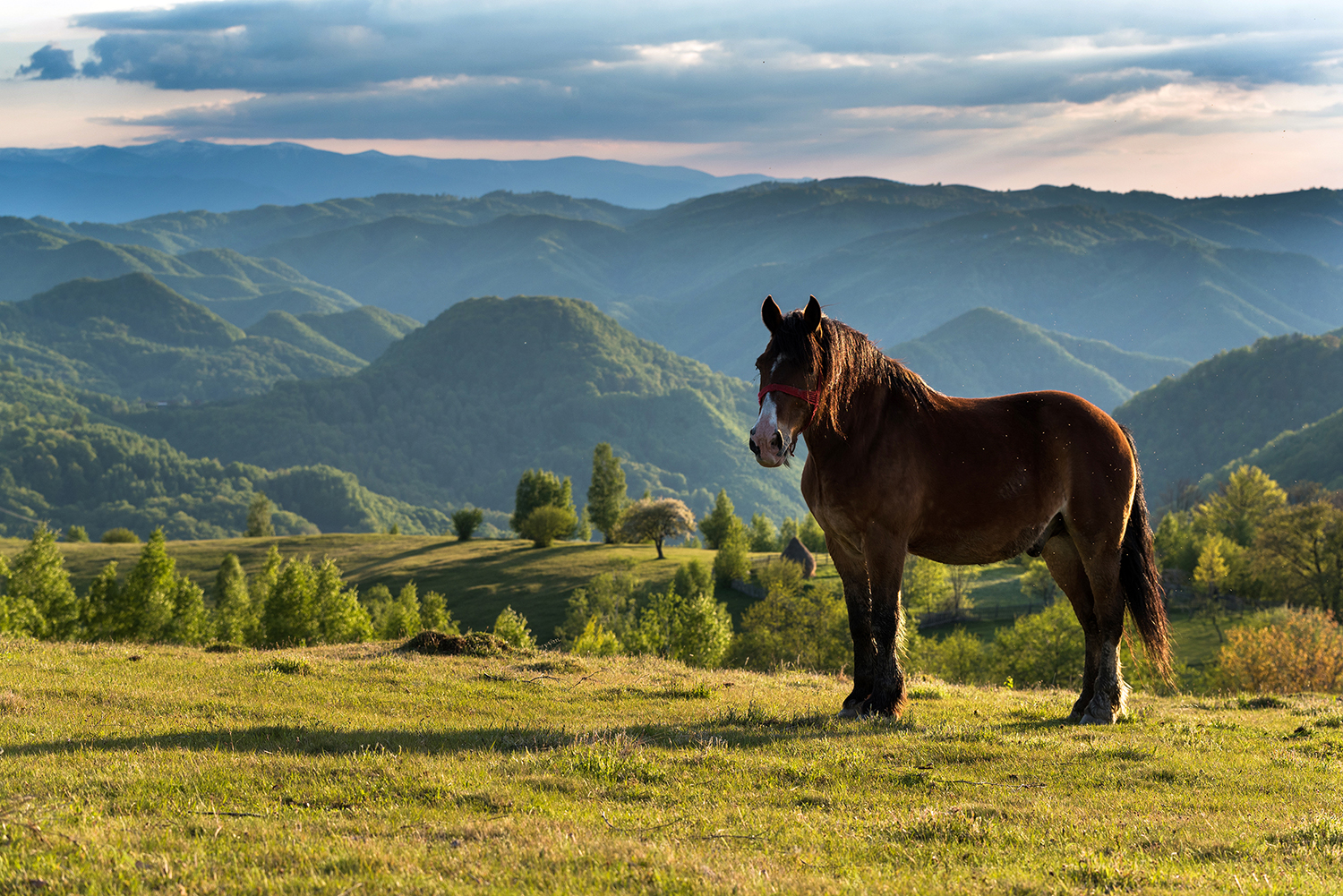  Munții Șureanu