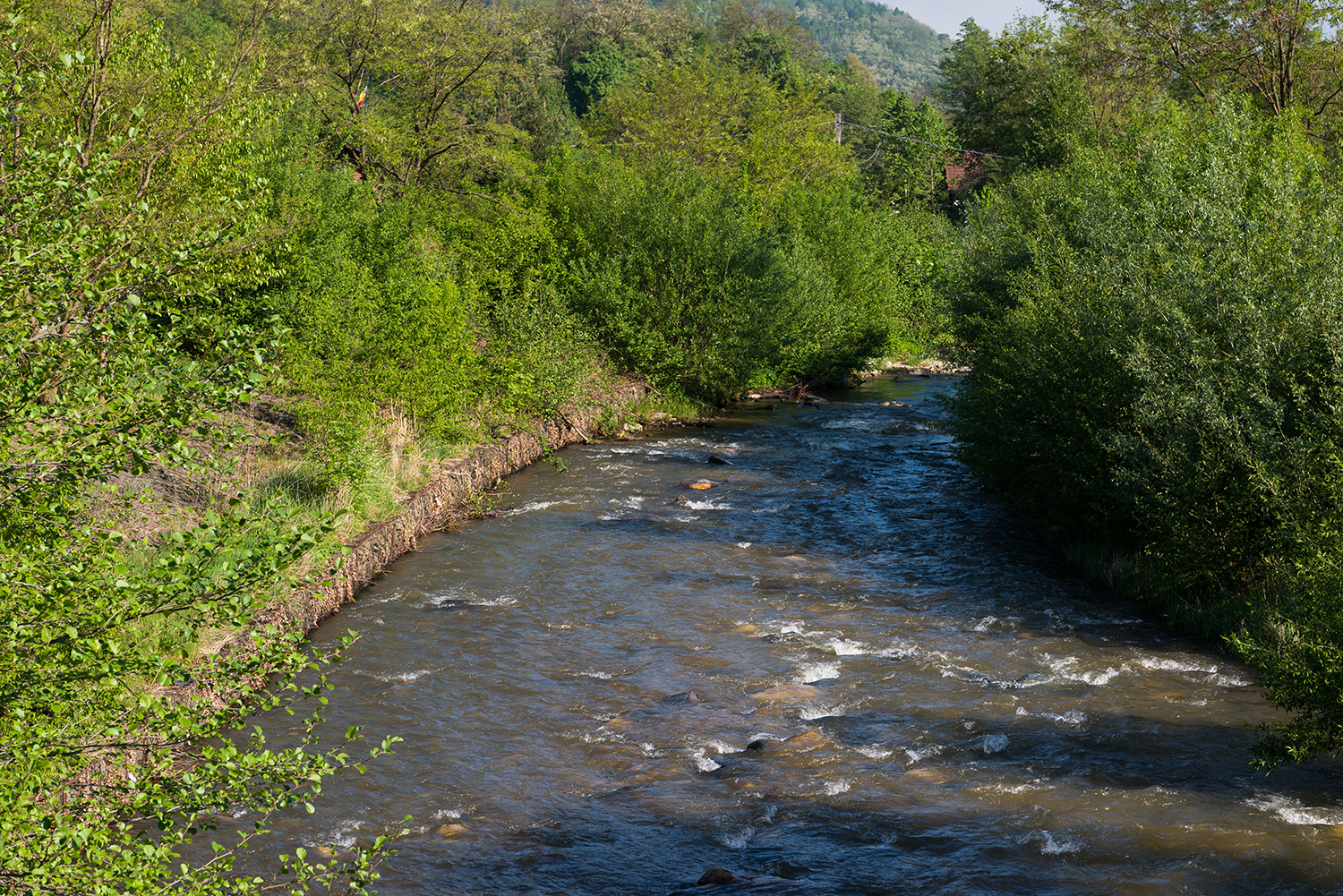 Munții Șureanu
