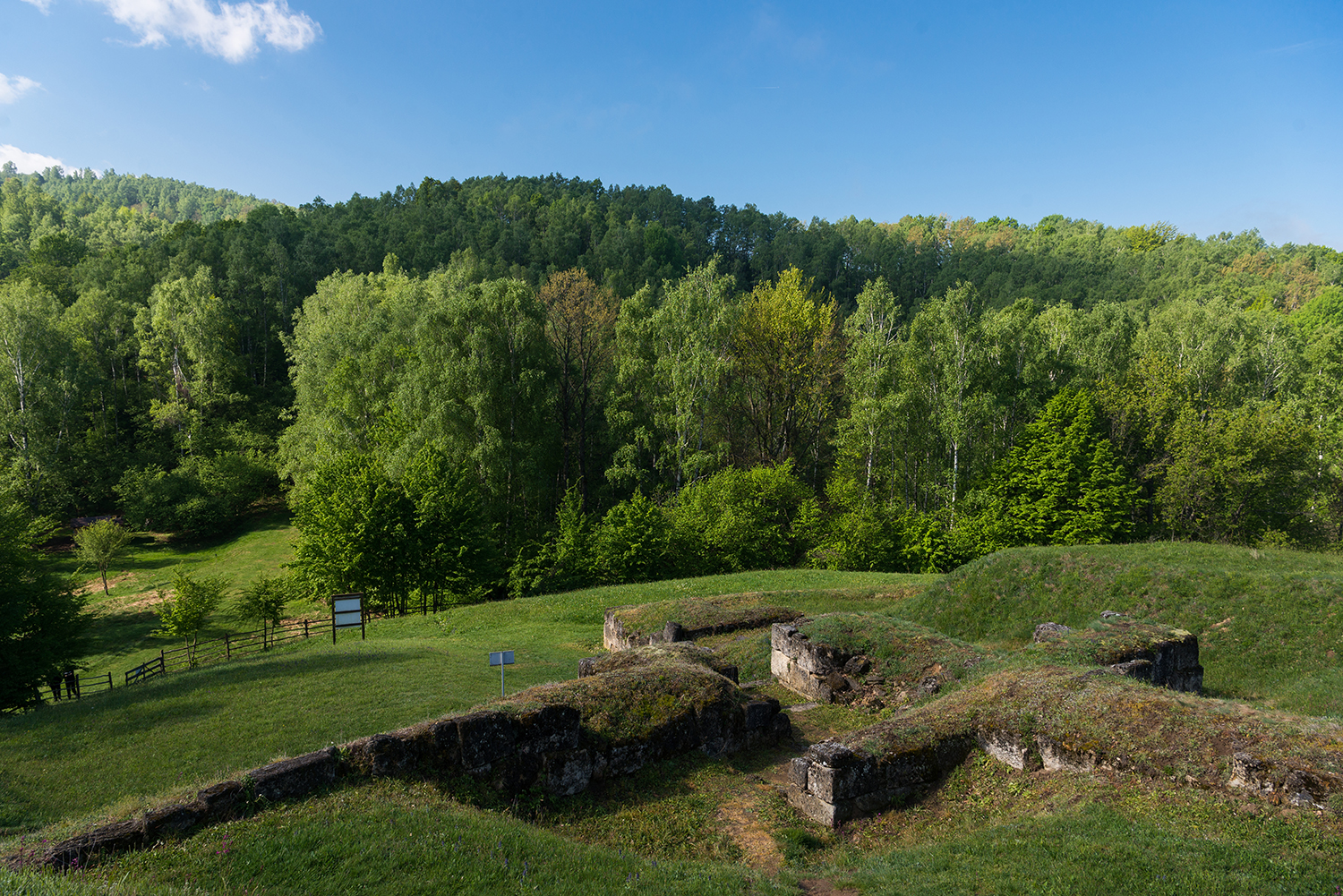 Munții Șureanu