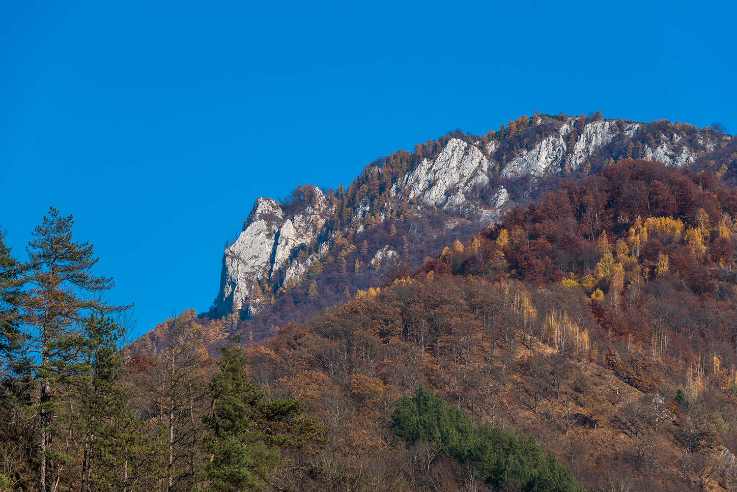  Muntii Trascăului