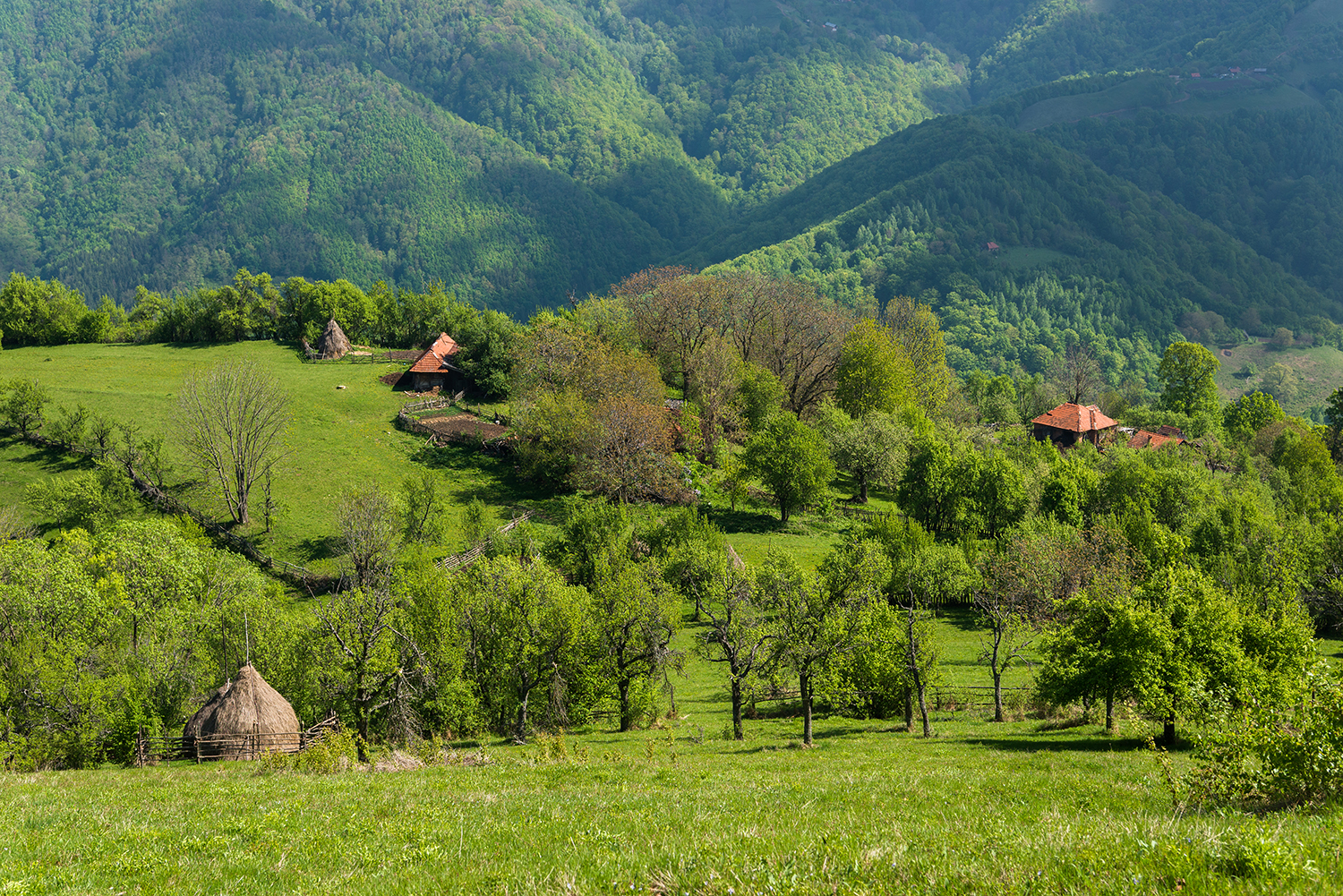  Munții Șureanu