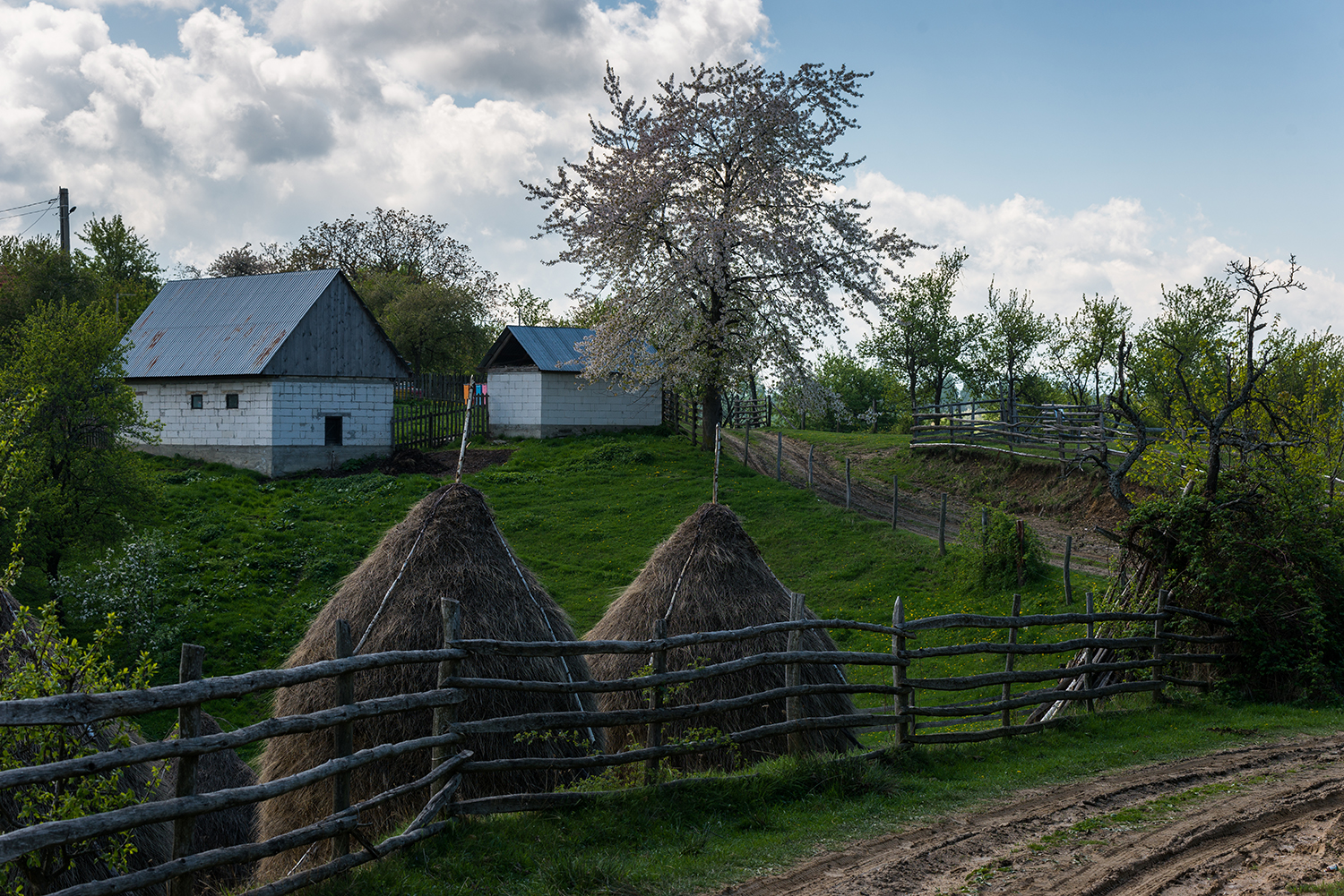  Munții Șureanu
