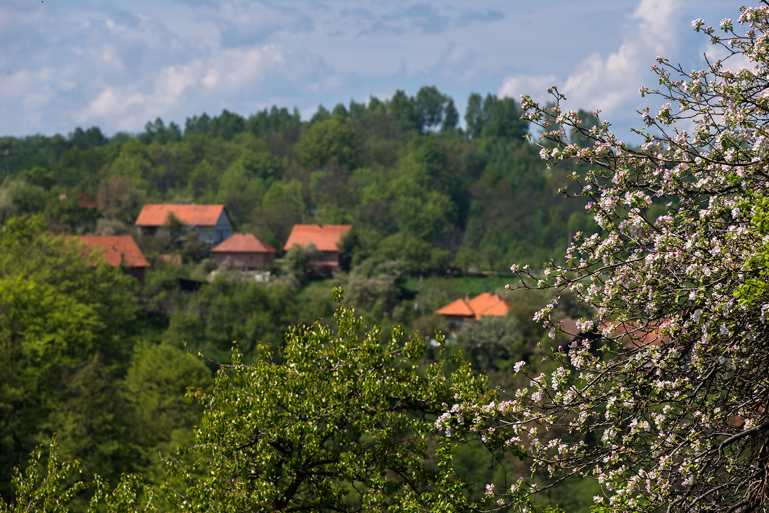  Munții Șureanu