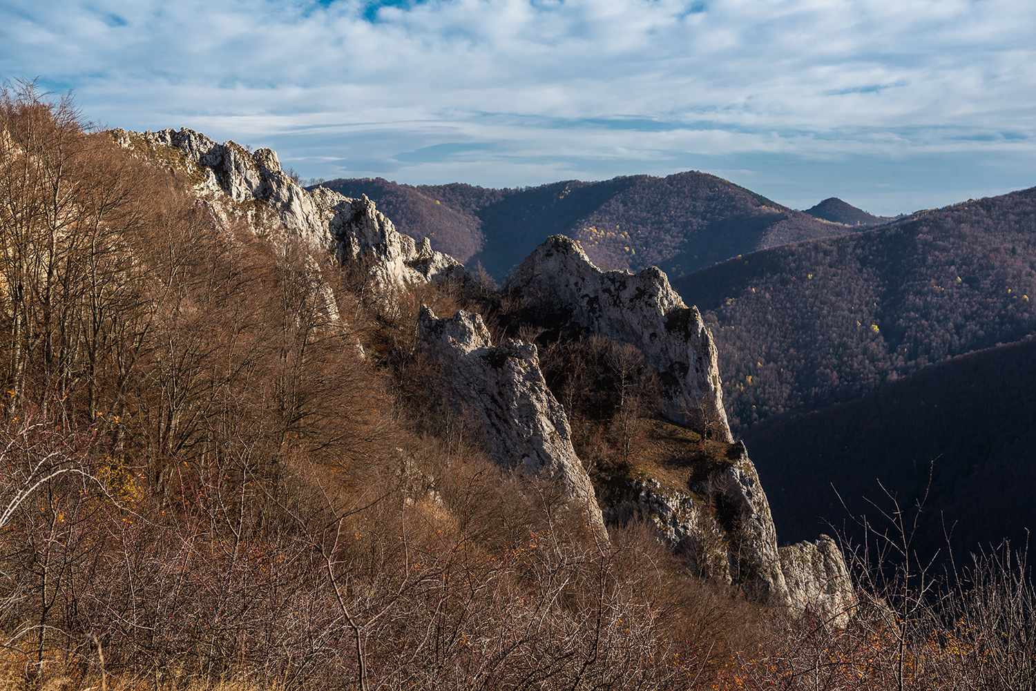 Munții Trascăului