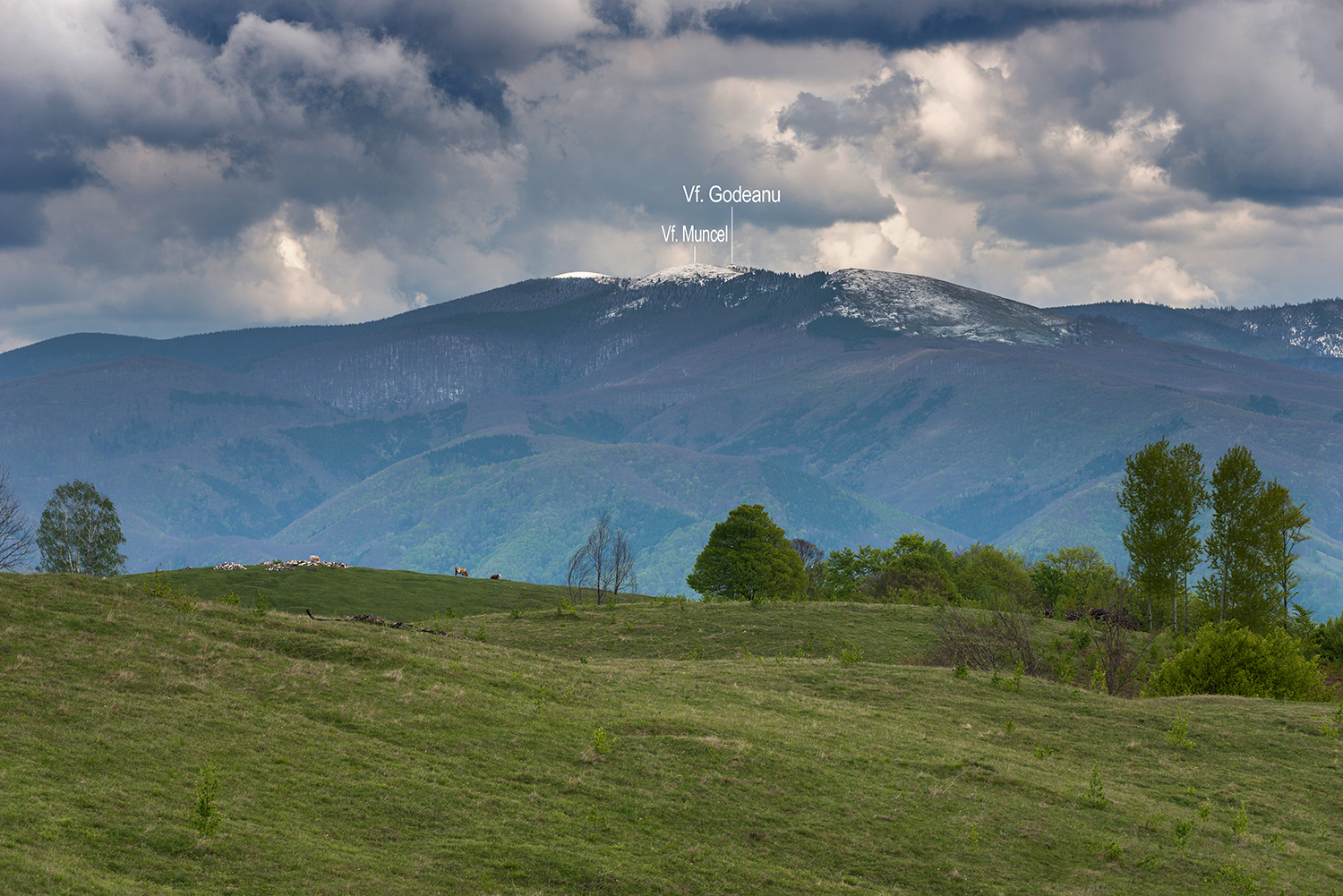  Munții Șureanu
