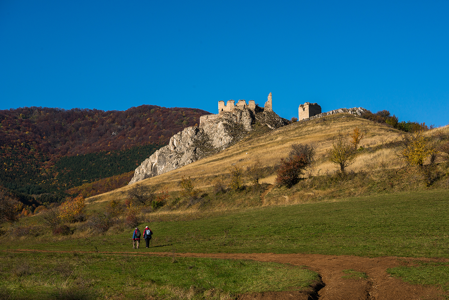 Munții Trascăului