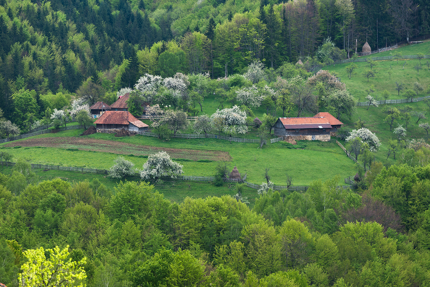 Munții Șureanu