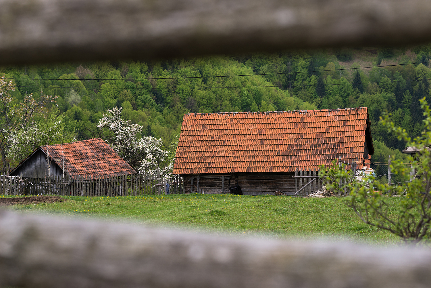  Munții Șureanu