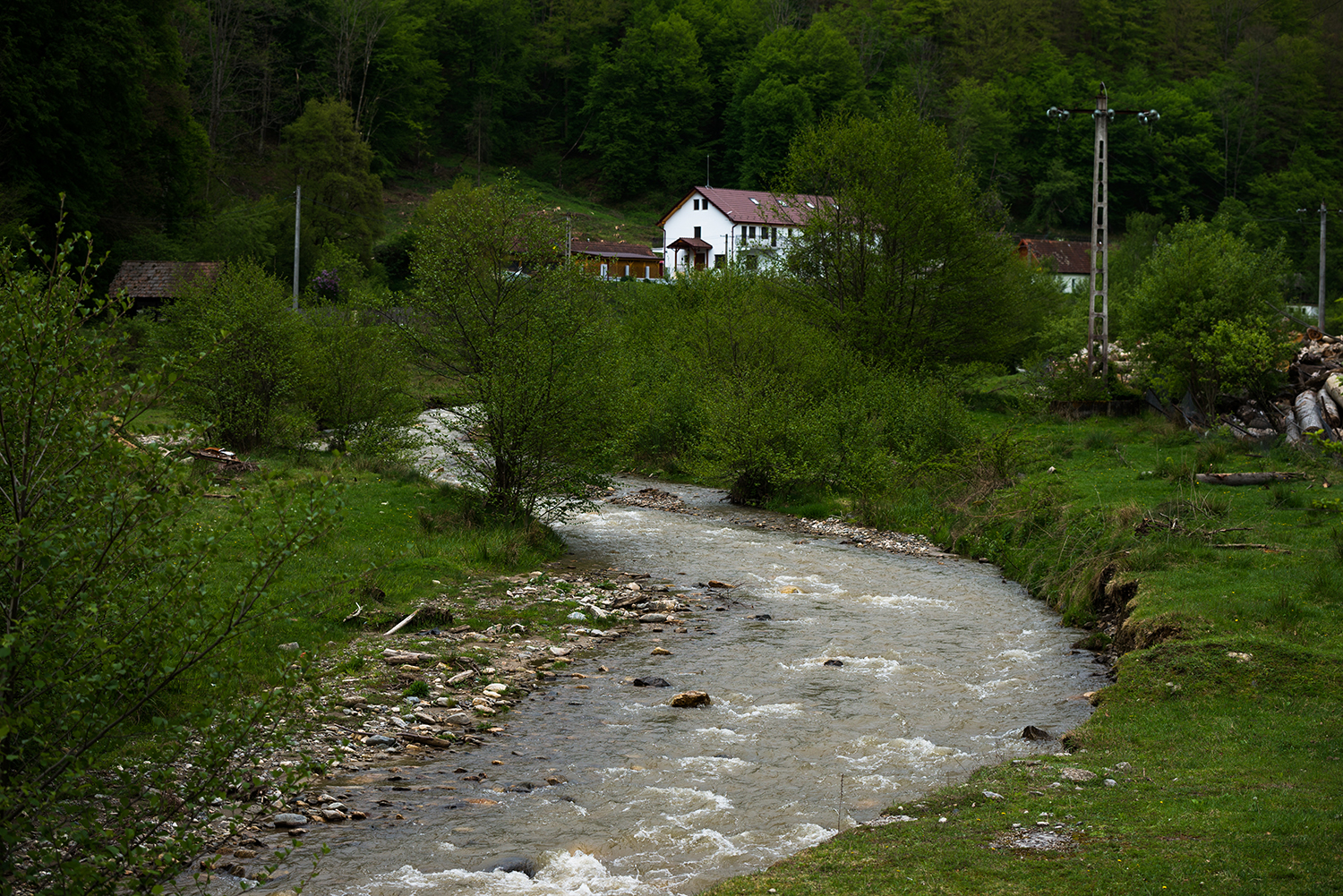  Munții Șureanu