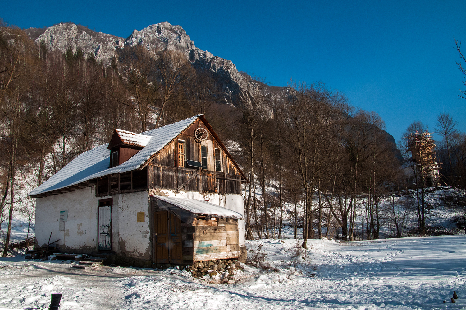 Munții Trascăului