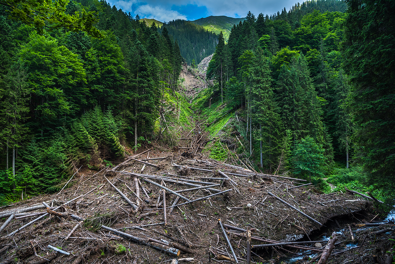 Munții Făgărașului