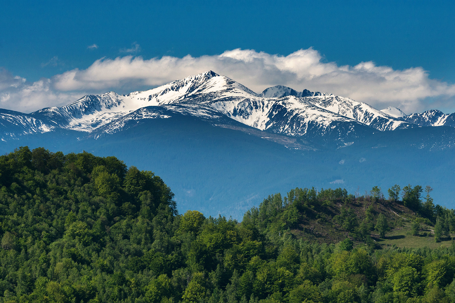  Munții Șureanu