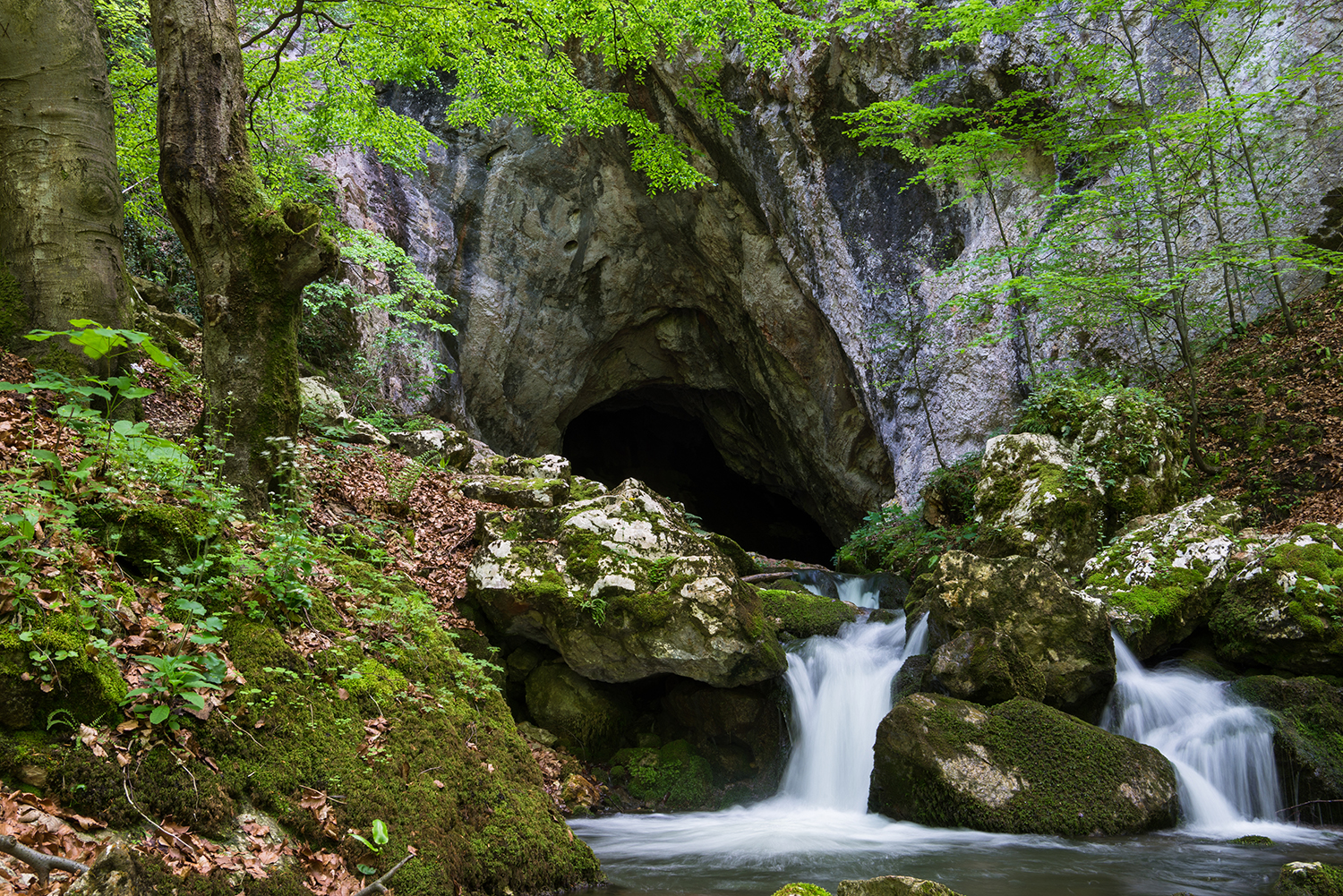  Munții Șureanu