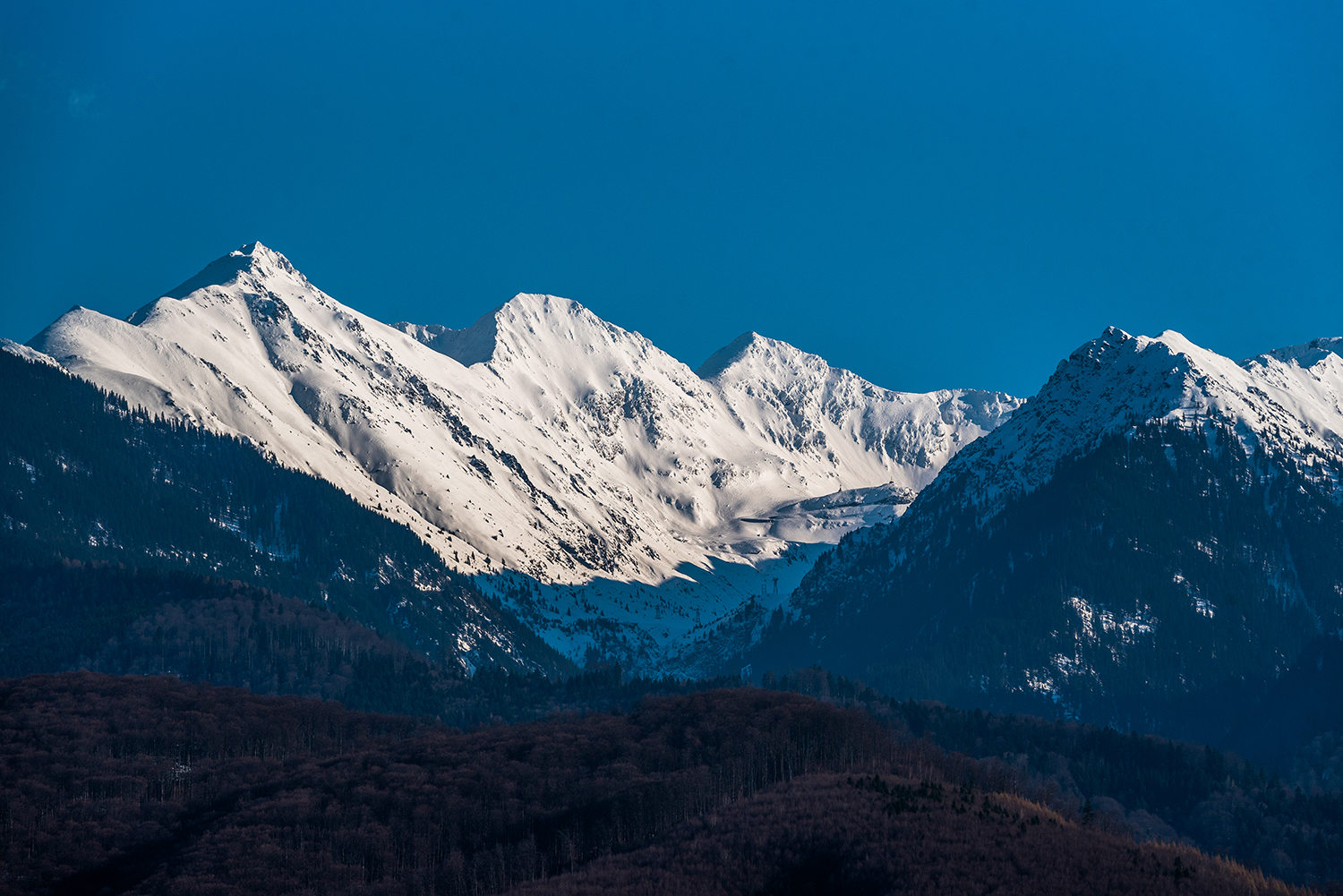 Munții Făgărașului