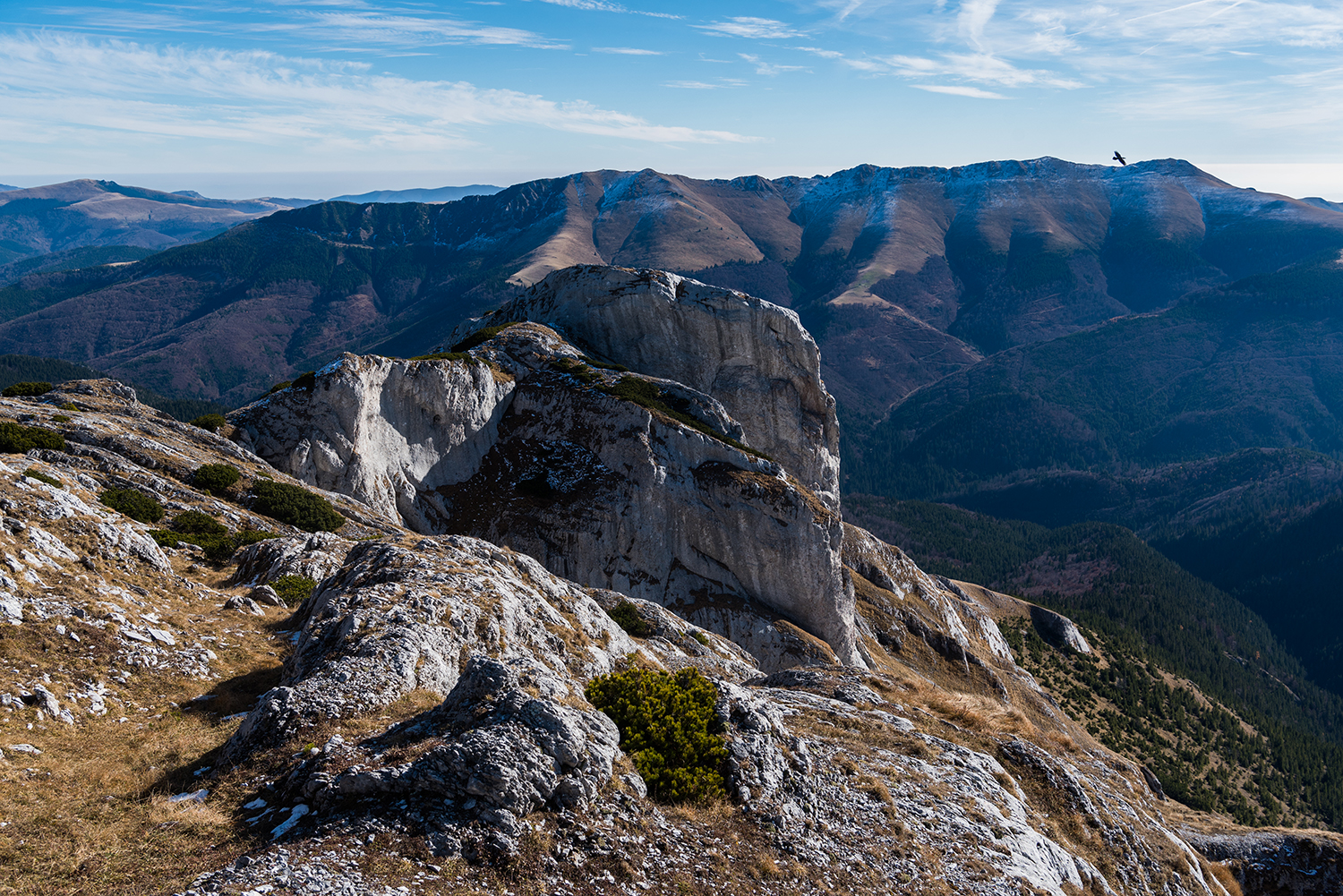 Munții Piule-Iorgovanu