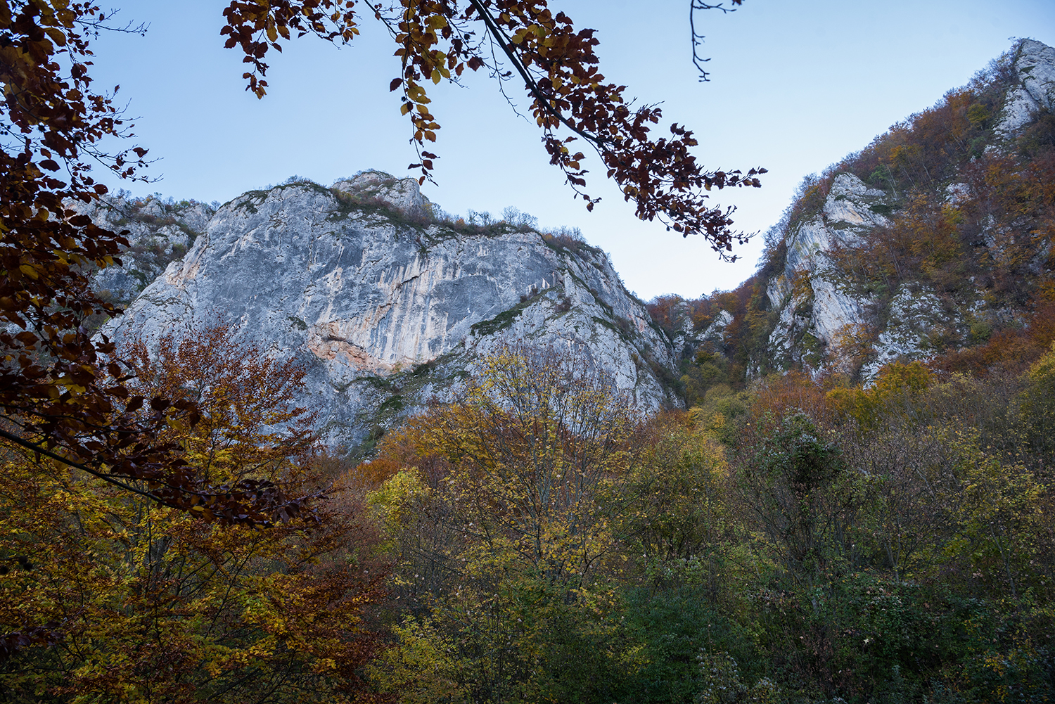 Munții Trascăului