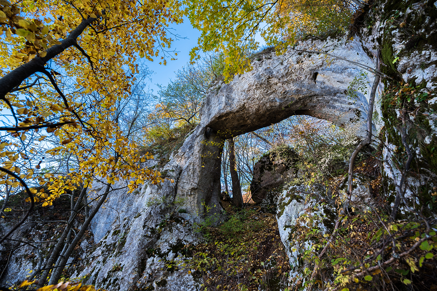 Munții Trascăului