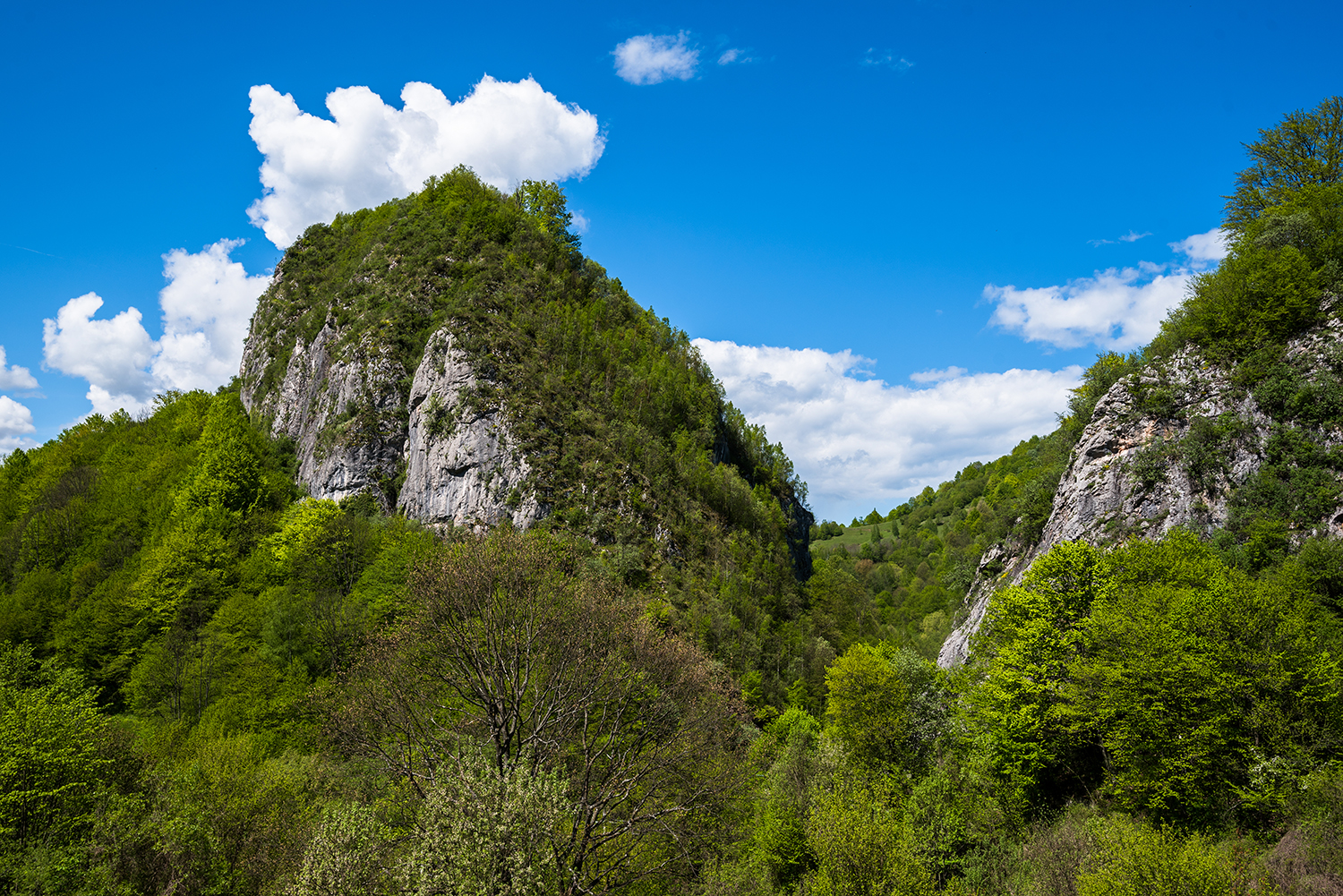 Munții Șureanu