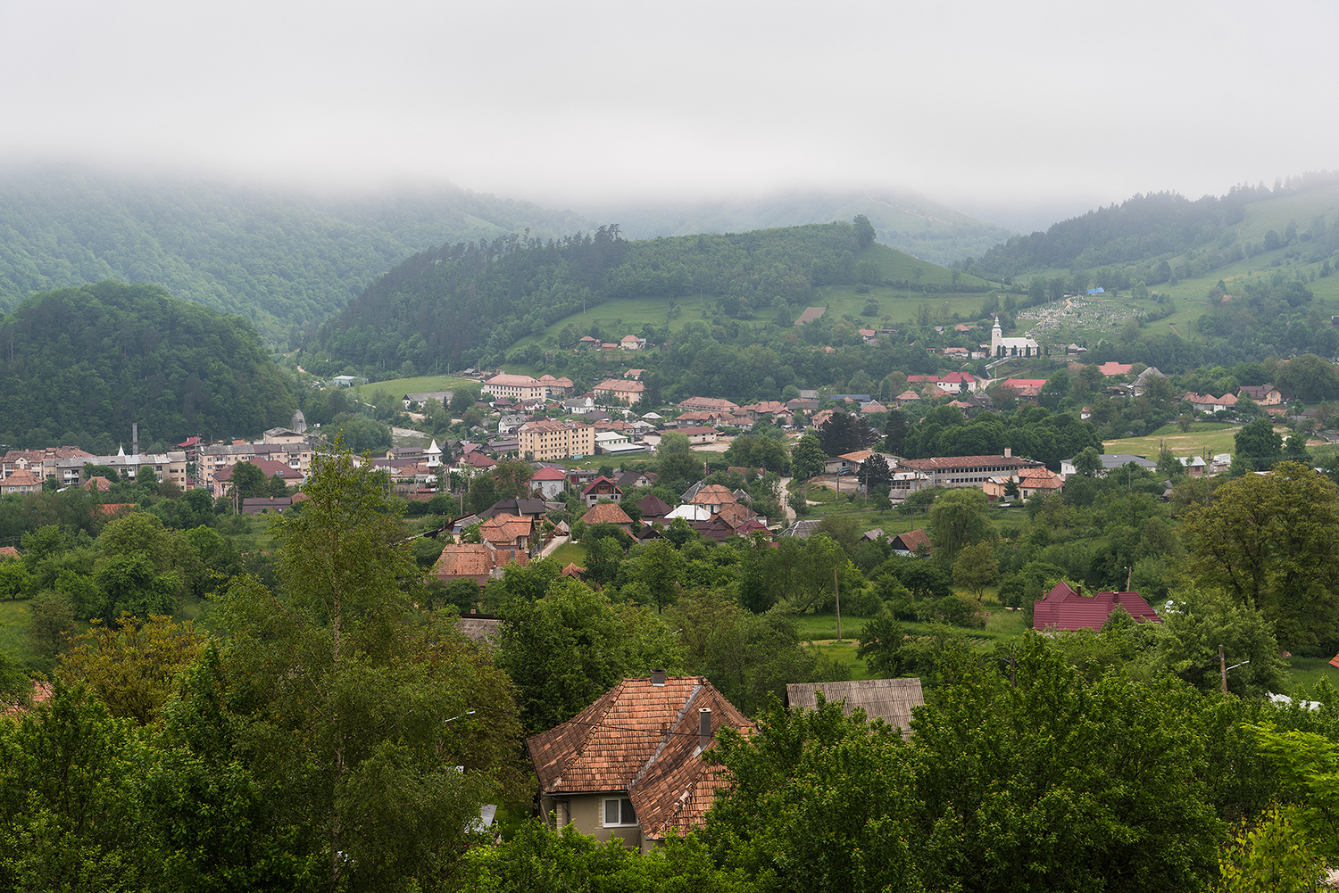 Munții Metaliferi
