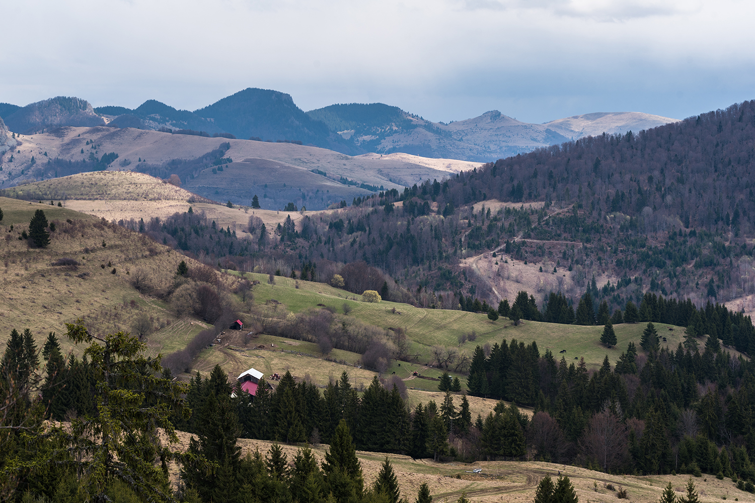 Munții Metaliferi
