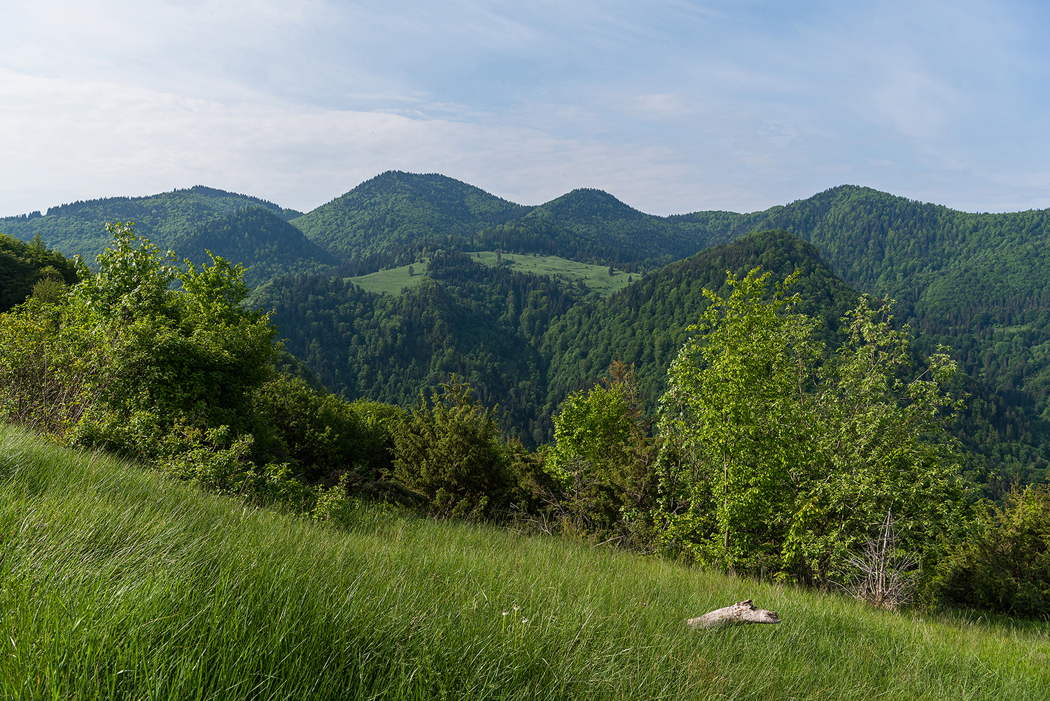 Munții Metaliferi
