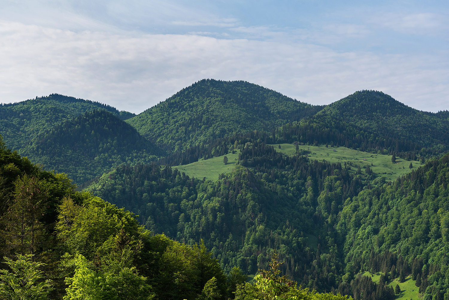 Munții Metaliferi