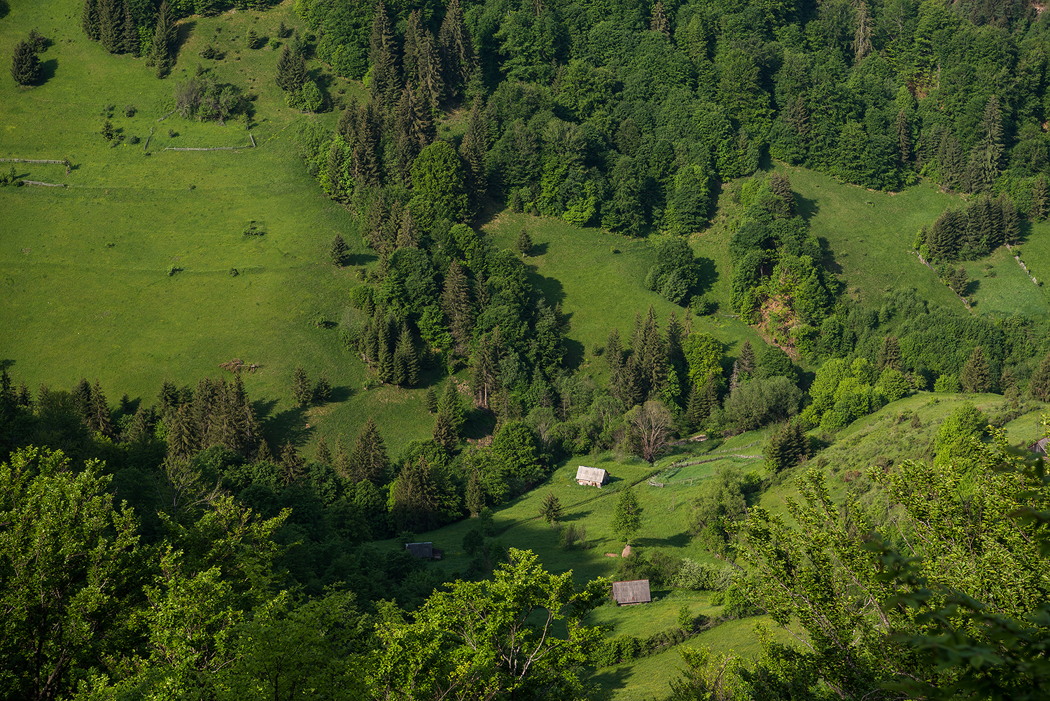 Munții Metaliferi