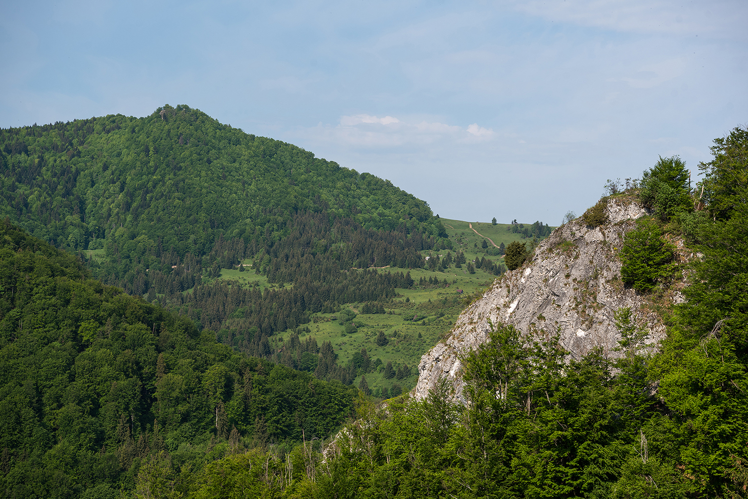 Munții Metaliferi