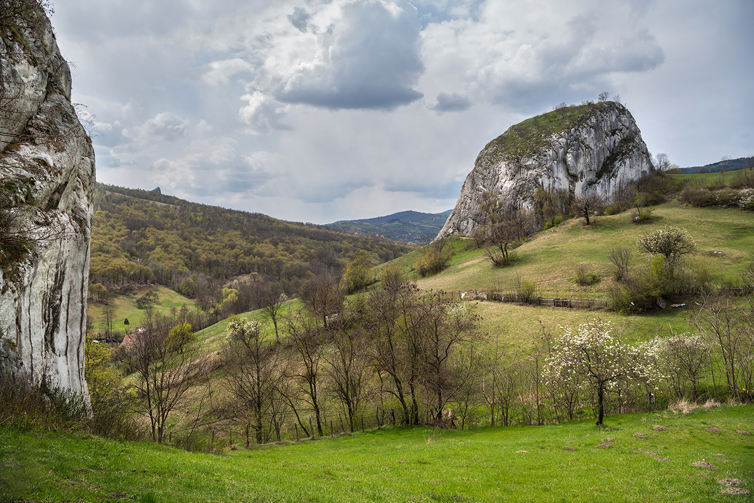 Munții Trascăului