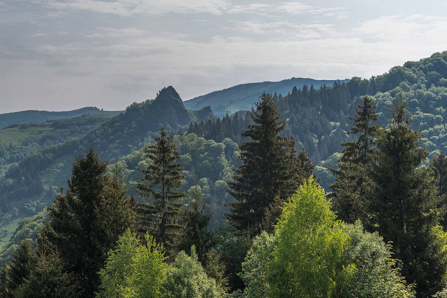 Munții Metaliferi