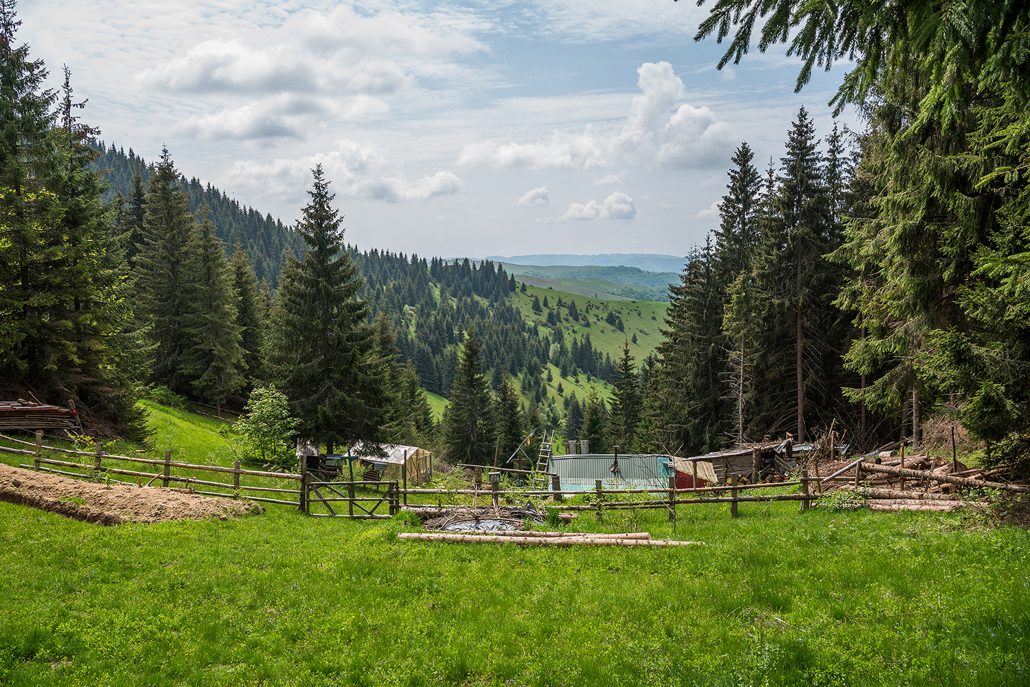 Munții Metaliferi